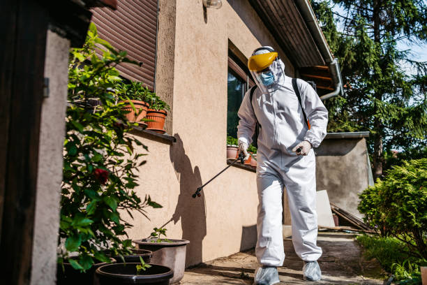 Pest Control for Restaurants in Pipestone, MN