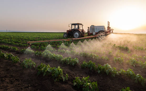 Reliable Pipestone, MN Pest Control Solutions